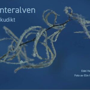 Vinteralven
